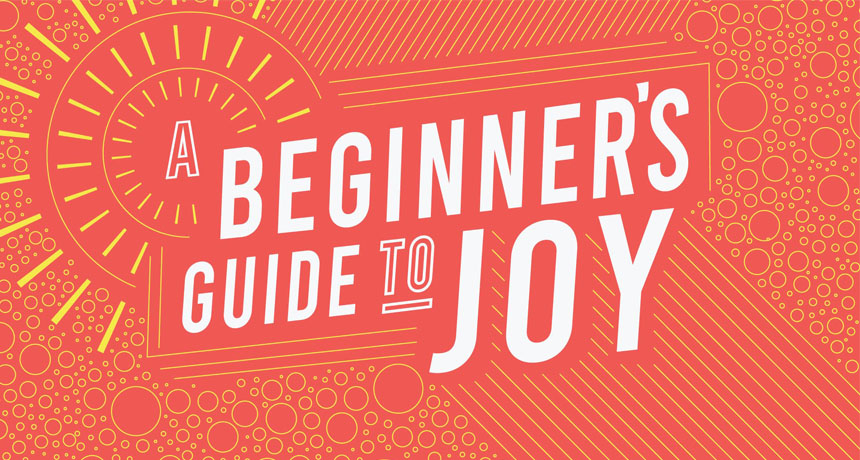 A Beginner's Guide to Joy