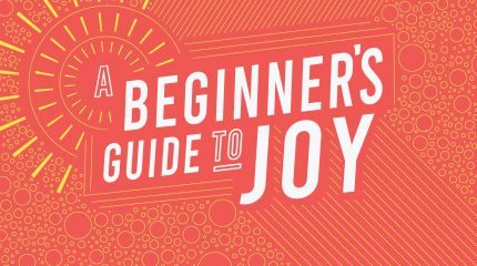 A Beginner's Guide to Joy