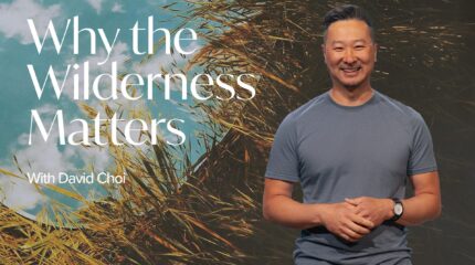 Why the Wilderness Matters
