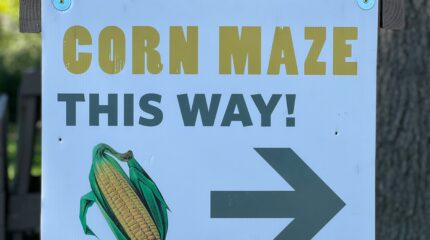 Student Ministry - Bob's Corn Outing